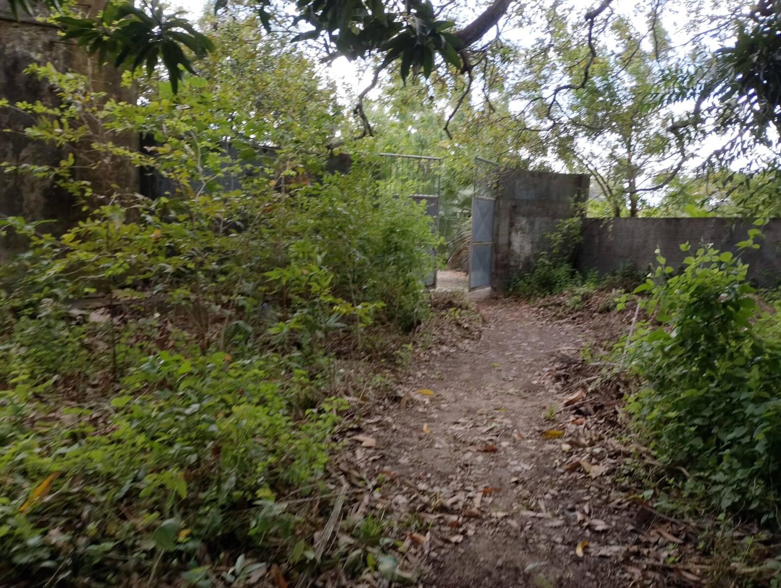 Terreno, 4650 m² - Foto 47