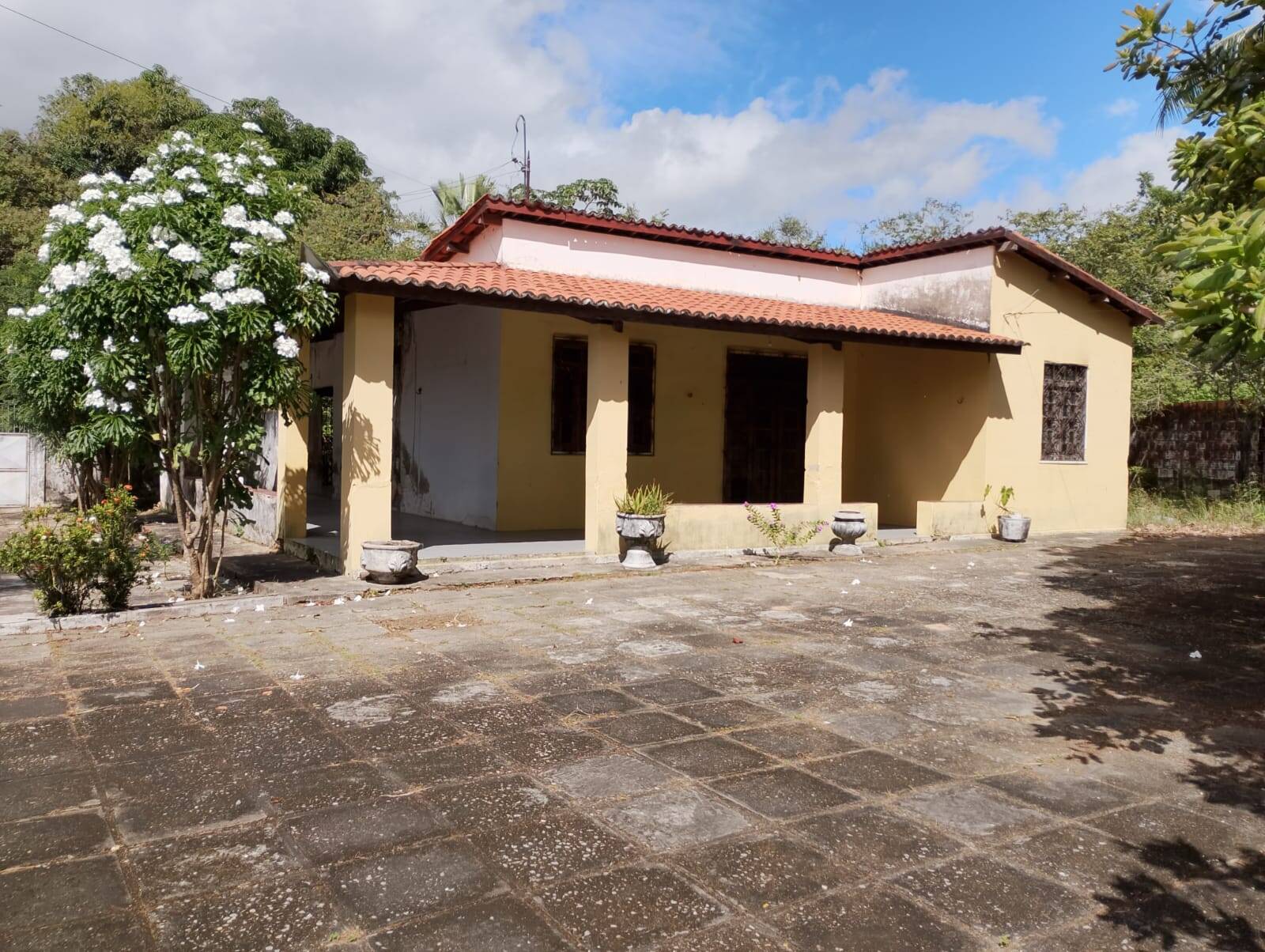 Terreno, 4650 m² - Foto 3