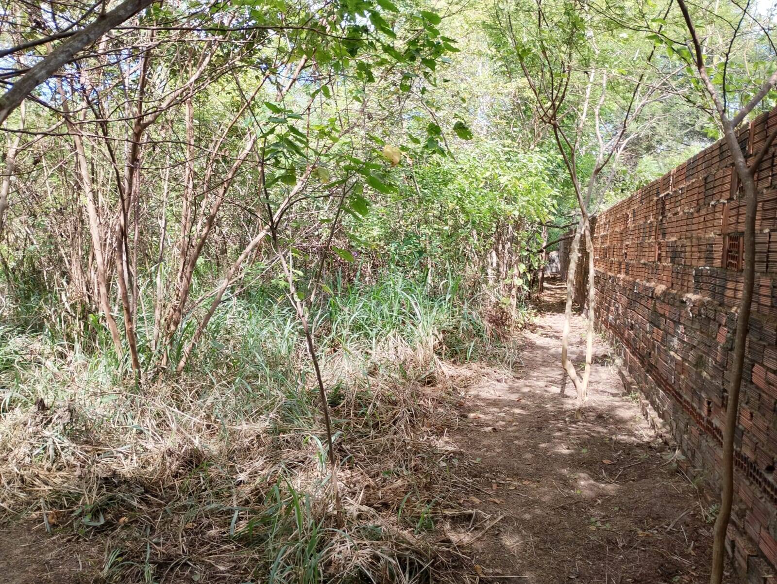 Terreno, 4650 m² - Foto 55