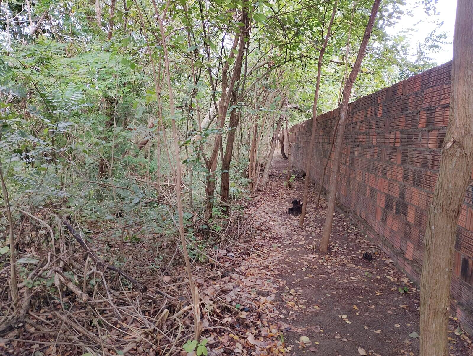 Terreno, 2 hectares - Foto 51