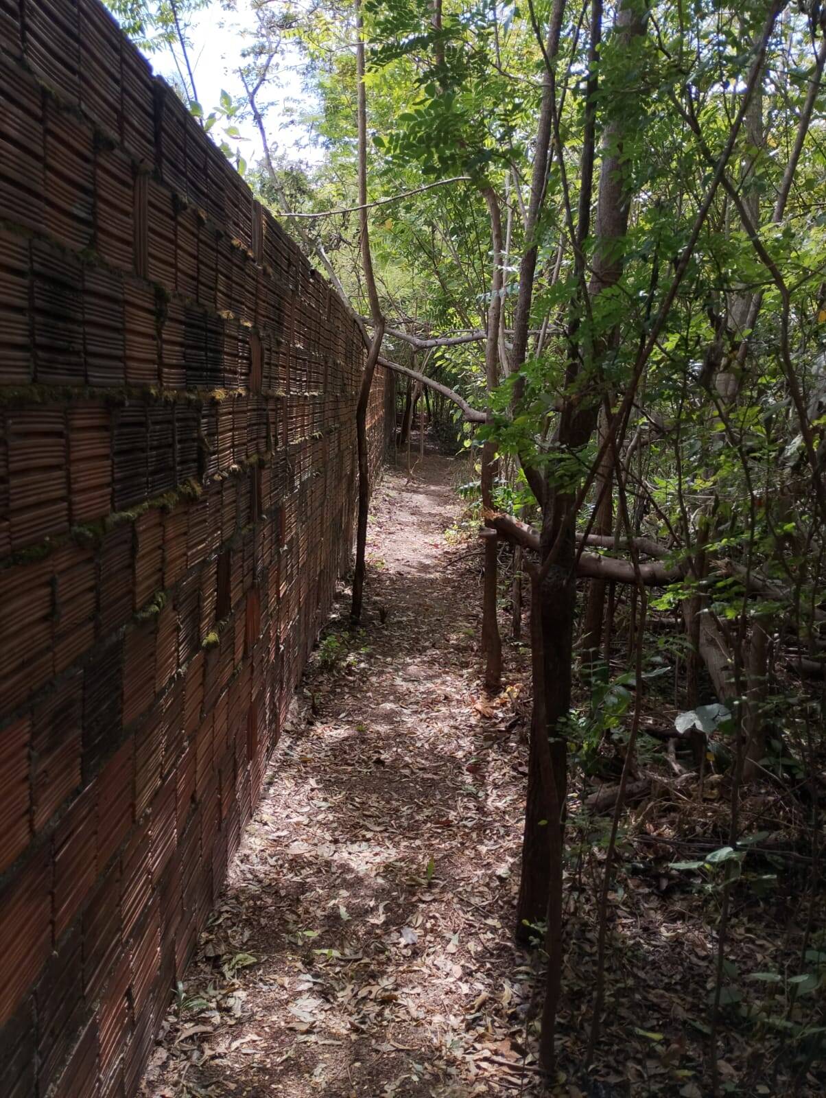 Terreno, 2 hectares - Foto 59