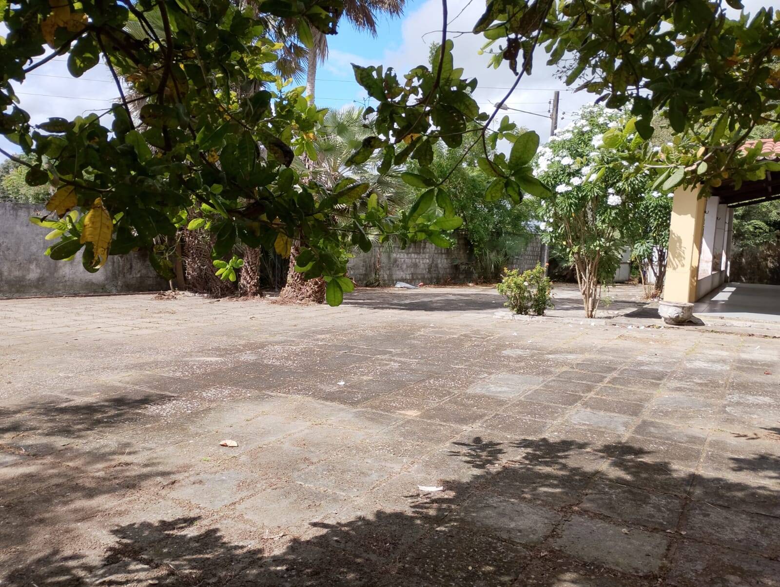 Terreno, 2 hectares - Foto 60