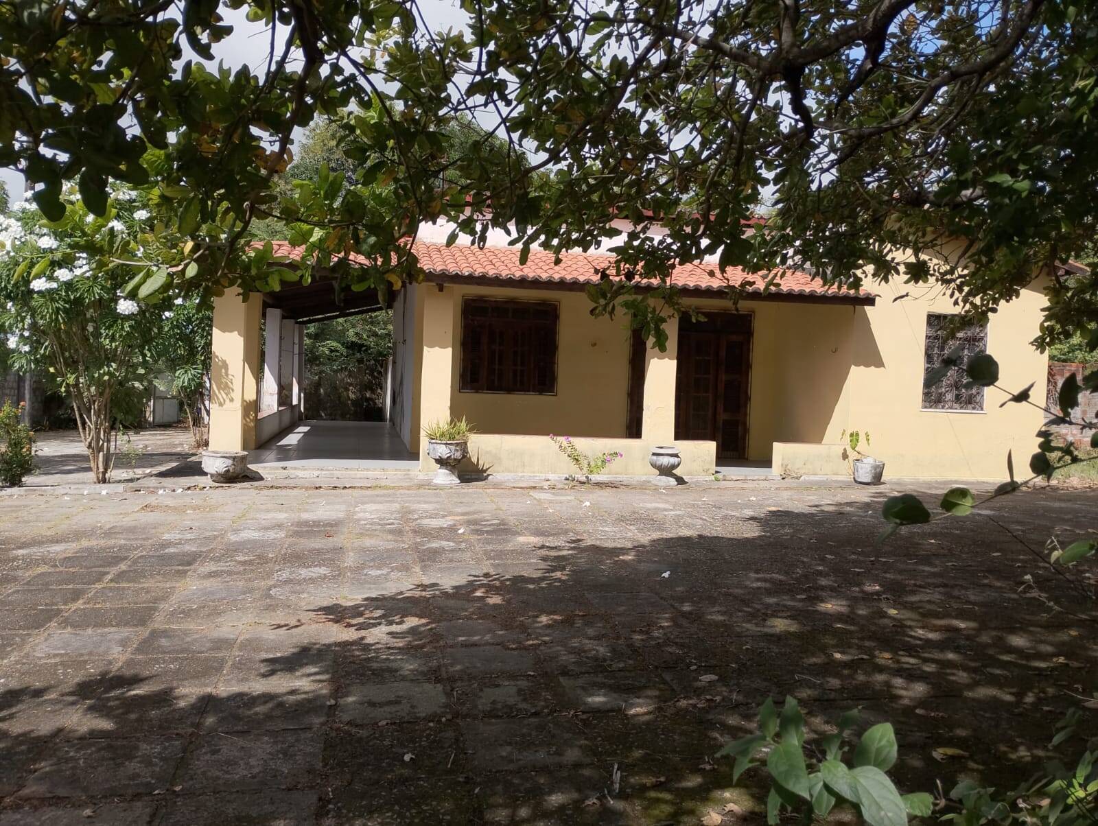 Terreno, 2 hectares - Foto 63