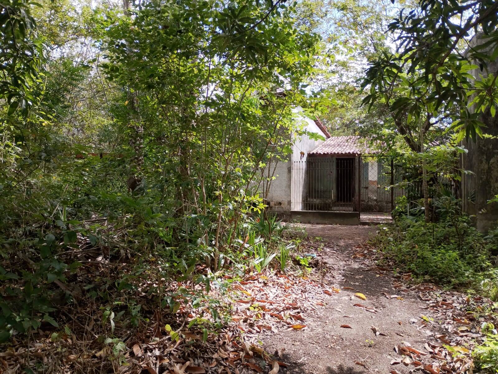 Terreno, 2 hectares - Foto 65