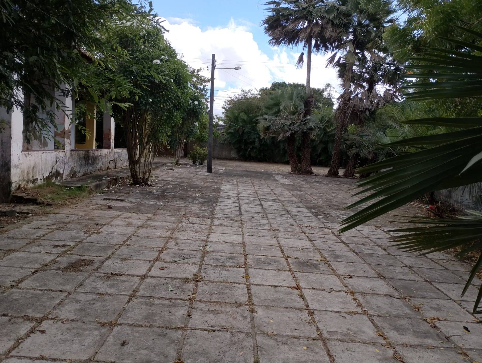 Terreno, 2 hectares - Foto 64