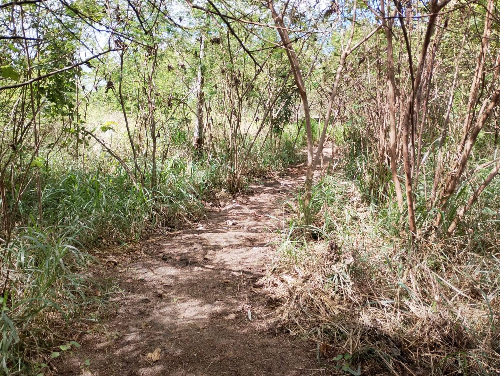 Terreno, 2 hectares - Foto 68