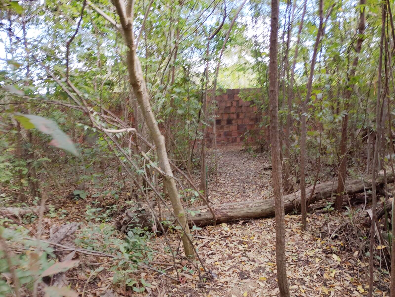 Terreno, 2 hectares - Foto 71