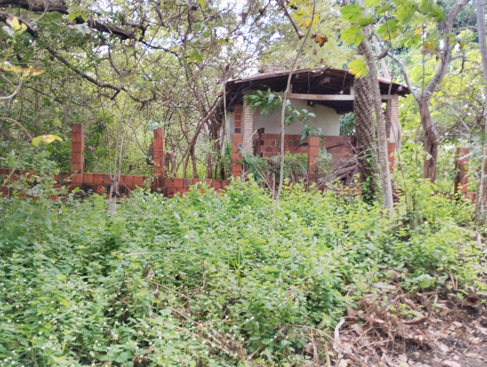 Terreno, 2 hectares - Foto 76