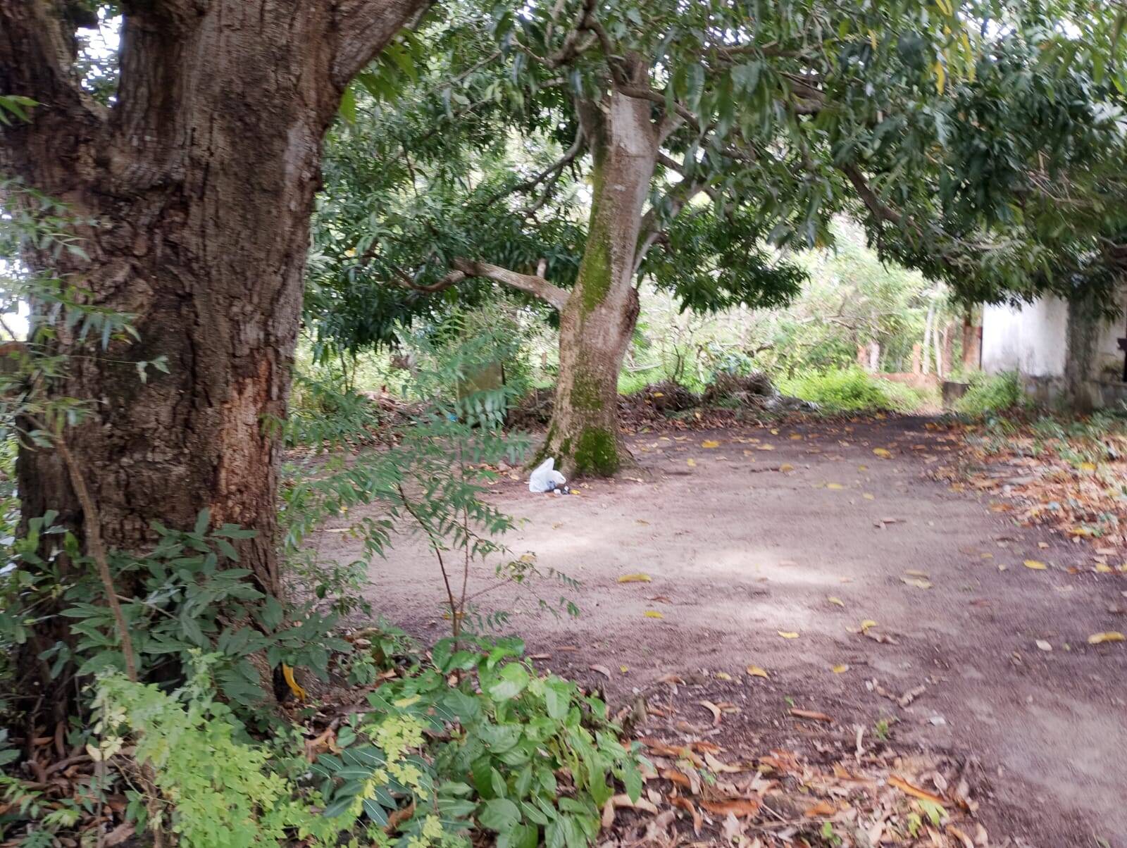 Terreno, 2 hectares - Foto 75