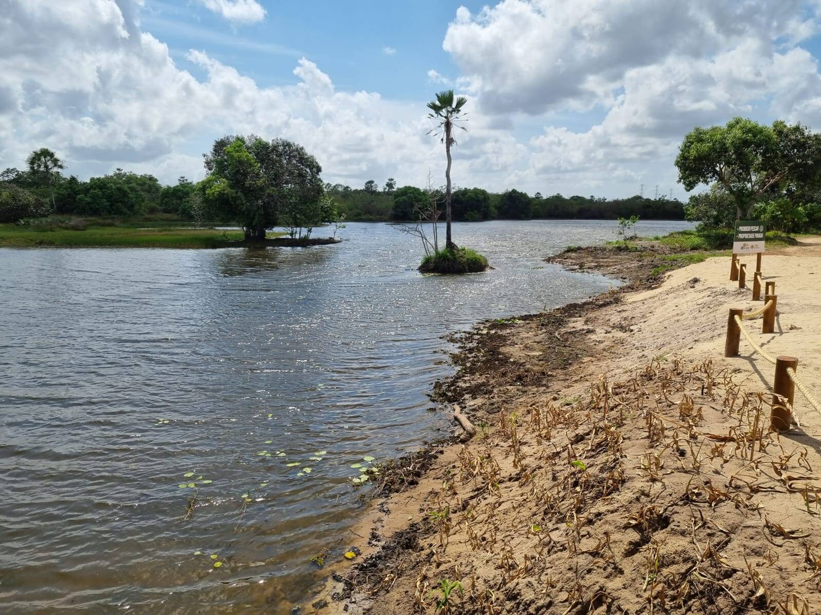 Terreno, 180 m² - Foto 16