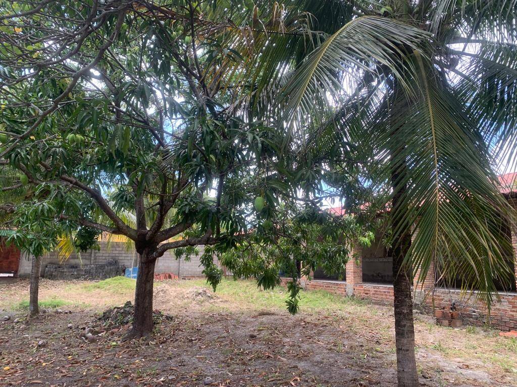Terreno, 2792 m² - Foto 10