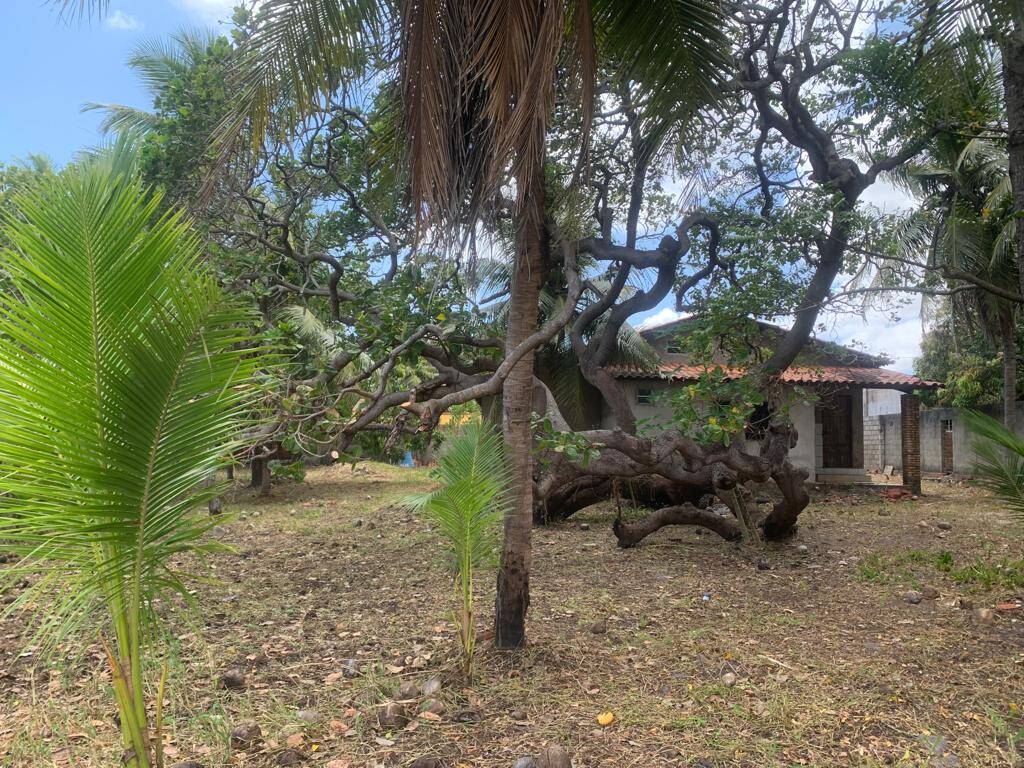 Terreno, 2792 m² - Foto 22