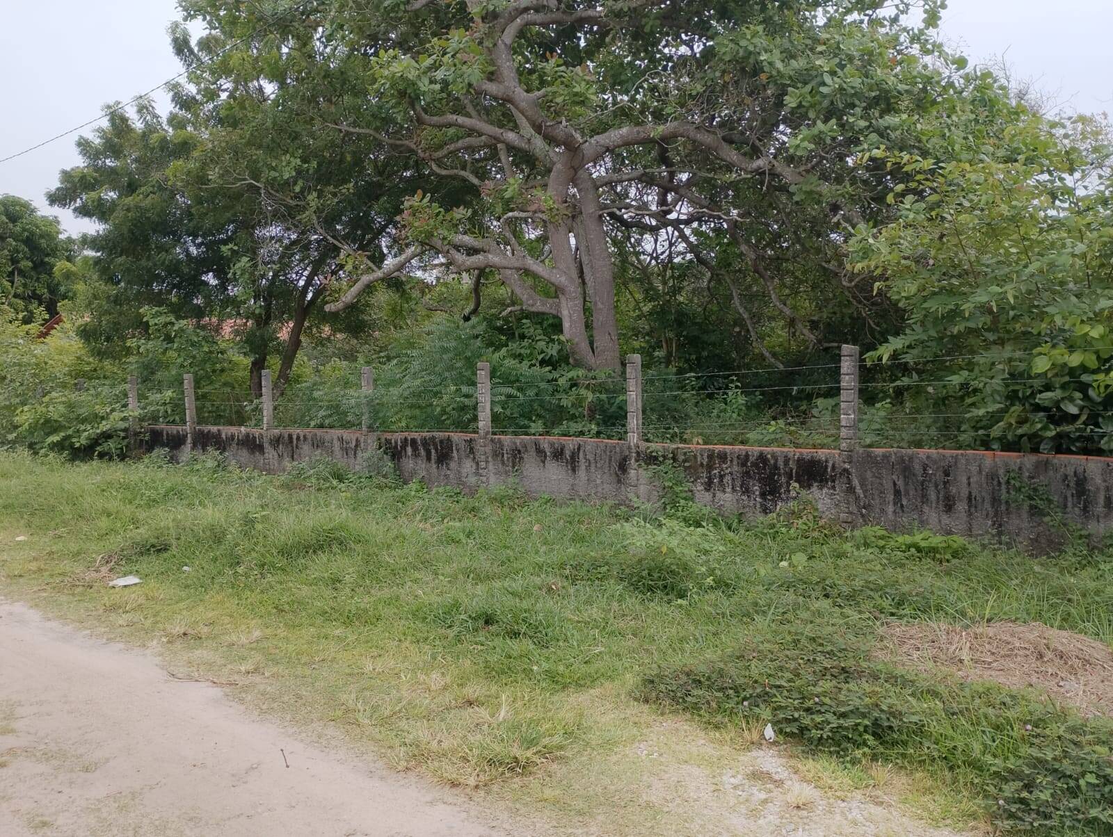 Terreno, 2880 m² - Foto 1