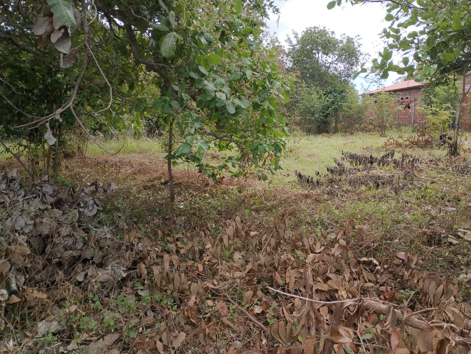 Terreno, 2880 m² - Foto 20
