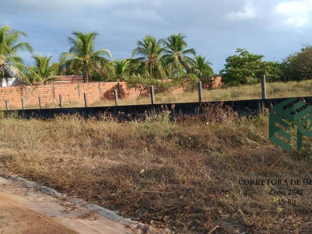 Venda em Patacas - Aquiraz