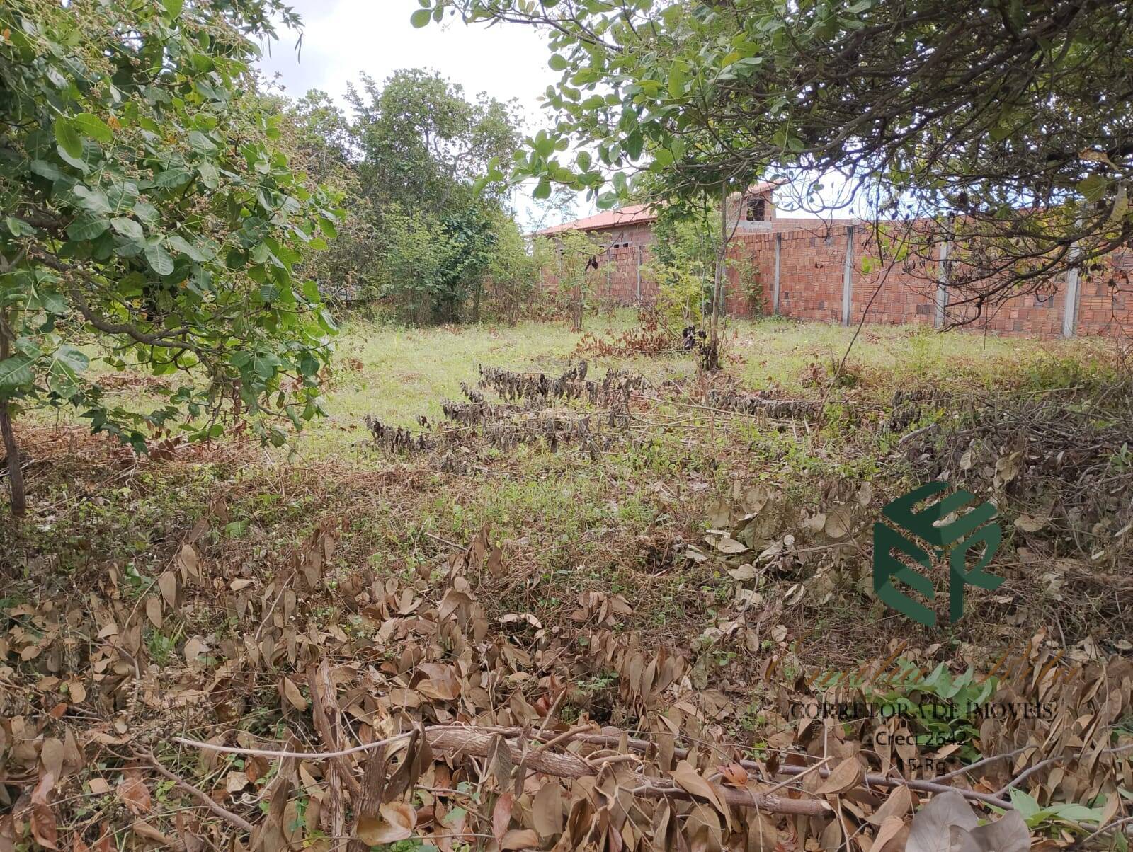 Terreno com 08 lotes 02 frentes prox centro do Eusebio
